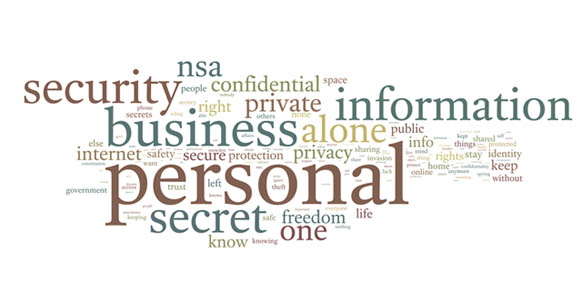 pew_privacy2