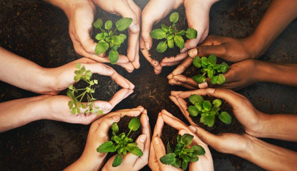 Circular arrangement of people's hands each holding a seedling.