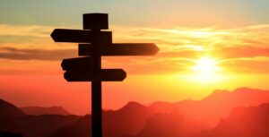 silhouette of sign posts