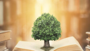 Model of tree placed on open book