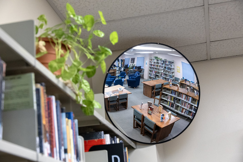 bookshelves-mirror A mirror in a corner of a prison library next to book shelves and a plant